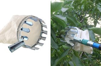 Собиратель фруктов