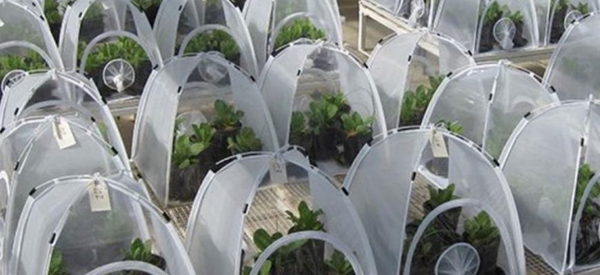 Чехол их армированной пленки высшего качества