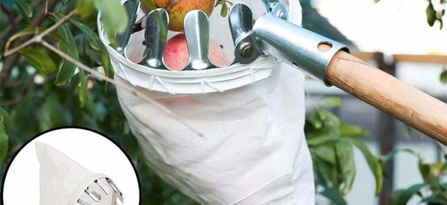 Плодосборник пластиковый